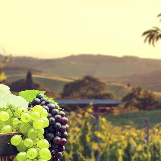 Ukrainian Wine