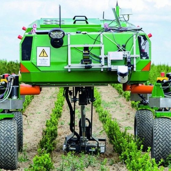 Opportunities for Investing in the Agrarian Sector of Ukraine