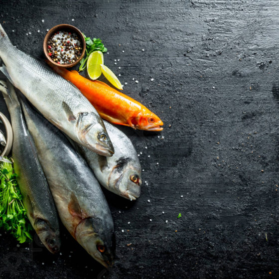 Ukrainian Fish Export Reaches a New Level