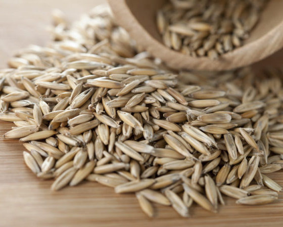 Ukraine Increased Export of Rye by 24 Times in 2020/21 MY