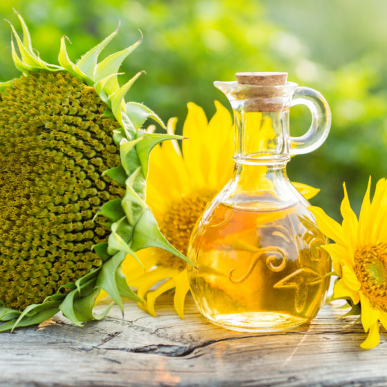 Ukraine Increases Production and Export of Sunflower Oil