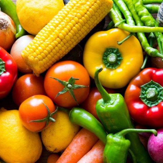 Vegetable Business Ukraine