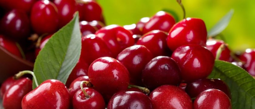 Growing Berries in Ukraine - GTInvest