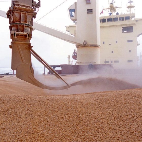 Agromarkets of China, USA, Venezuela Opens for Ukraine