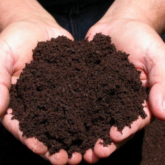 The Lungs of the Earth are not Only Forests, but Also Peat Bogs