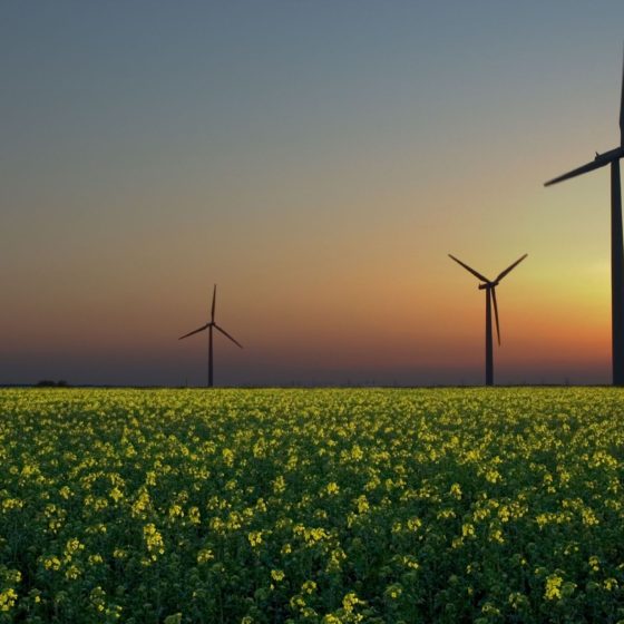 The Wind Energy Potential of Ukraine