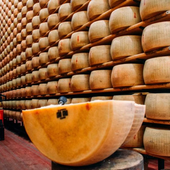 Ukrainian JSC “Velikoburluk Cheese Factory” is Put Up for Sale
