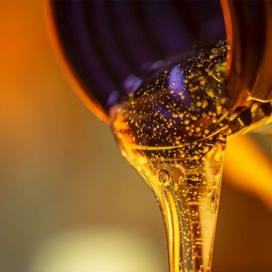 “Prometey”  Raised $10 Million from an International Investment Fund