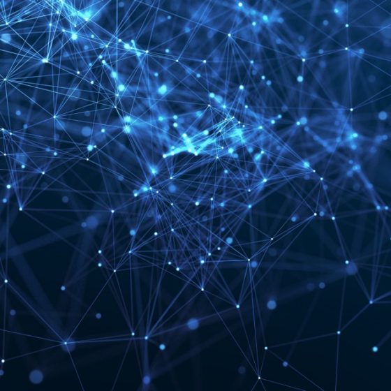 Cooperation in The Field of Digitalization of Public Services