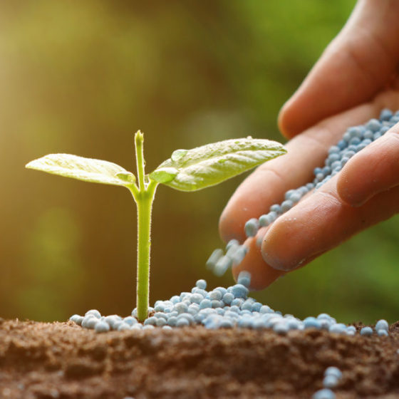 Fertilizer production in Ukraine