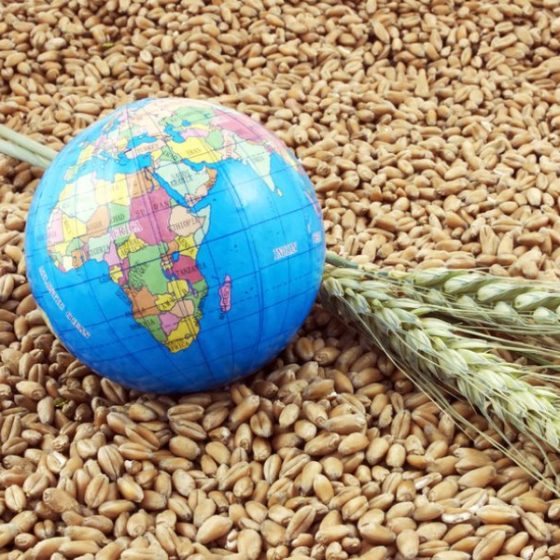 Agricultural Products Trade between Ukraine and Asia Breaks Records