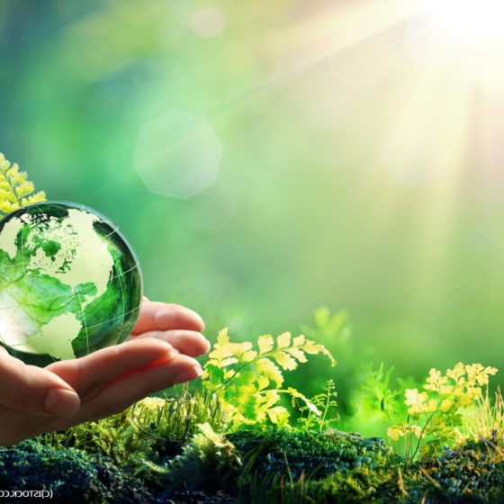 First Educational Platform for Eco-Startups Launched in Ukraine