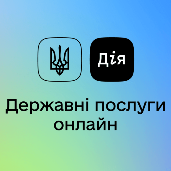 Government in the Mobile Application
