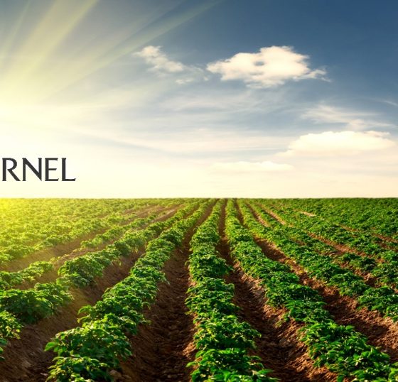“Kernel” Repurchases all Outstanding Bonds for $500 Million Ahead of Schedule