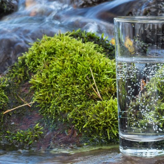 Mineral Springs of Ukraine