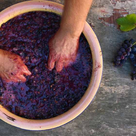 Winemaking in Ukraine