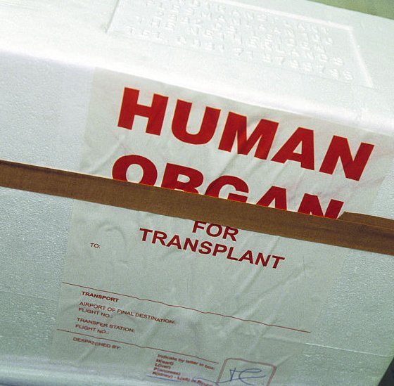 Online Consent to Organ Donation