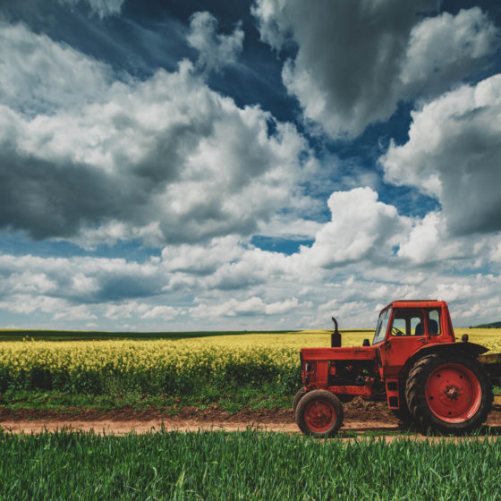 Harvest Insurance in Ukraine