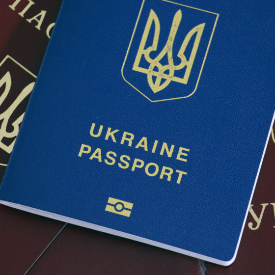 Economic Passport in Ukraine