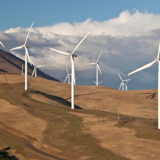 Australian “CWP Global” Invests €76 Million in a Wind Farm in the Kherson Region