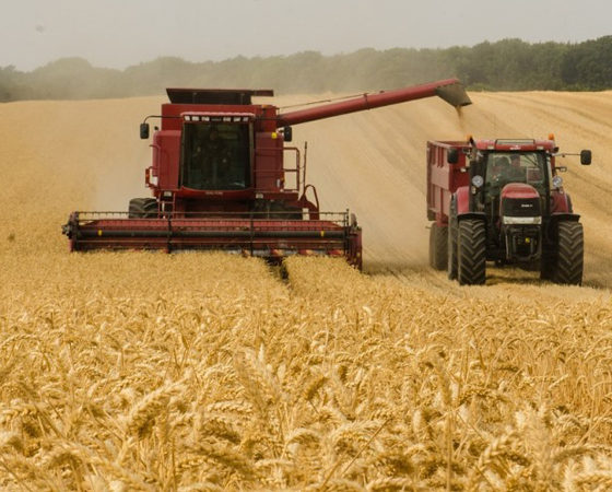 The Increase of Ukrainian Grain Export
