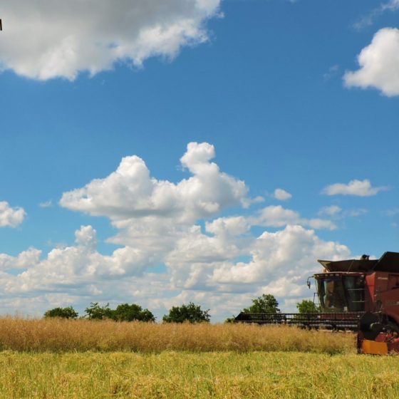 “Agricom Group” Invested $2 Million in Business Development