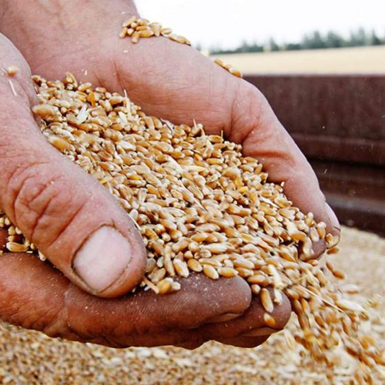 State Support for Agrarian