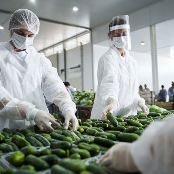Development of Assessment Tools for Nutrition Workers
