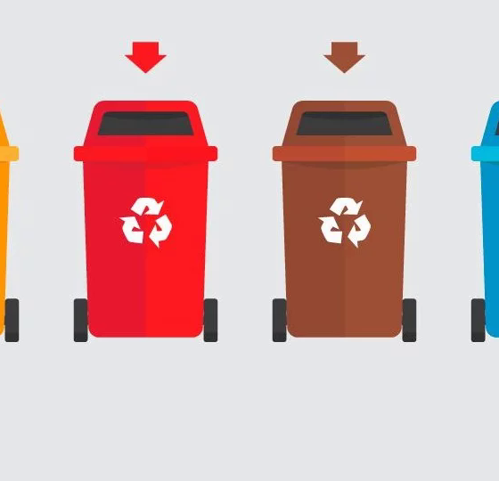 Interconnection of  Business and Garbage Sorting 