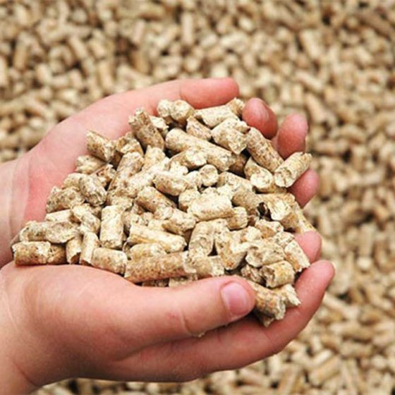 Compound Feed Production in Ukraine