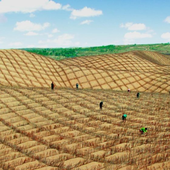 In November, the Land Market in Ukraine Grew by Almost 40%