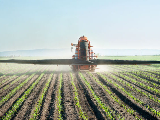 Production and Export of Nitrogen Fertilizers