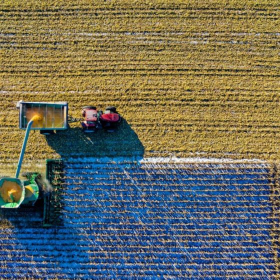 €15000000 Will Be Spent on a Farming Sector in Ukraine in Two Years
