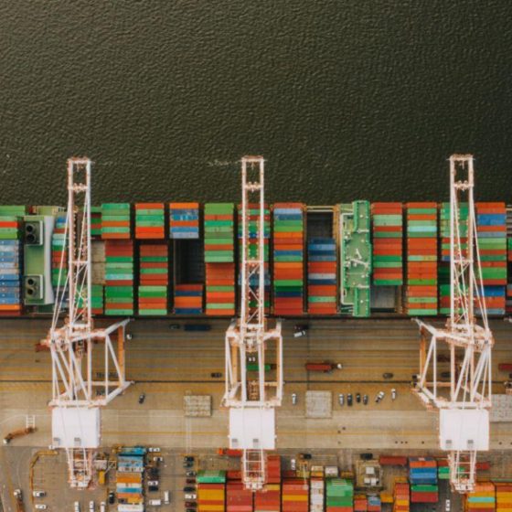 Pork Import and Export to Ukraine in 2021