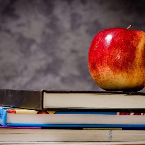 Digital Project “Zero Waste School”