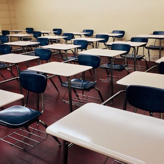 New Alternatives to Higher Education