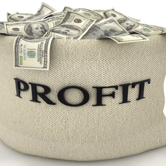 Top 8 Profitable Companys in Ukraine