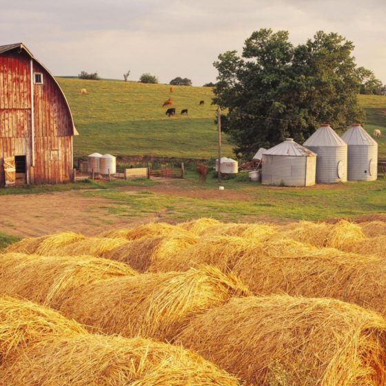 New Financing and Lending Terms for Ukrainian Farmers
