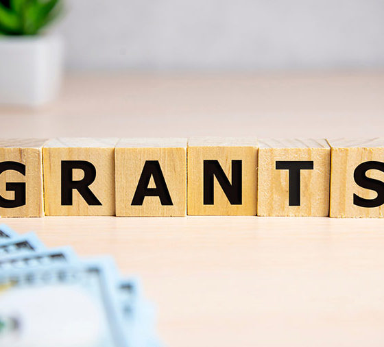 The Conditions for Obtaining a Grant in Ukraine