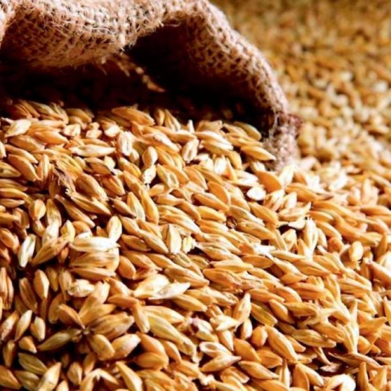 Export of Ukrainian Grain Crops to the World Market