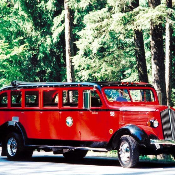 Sale of Unique Ukrainian Bus at Auction