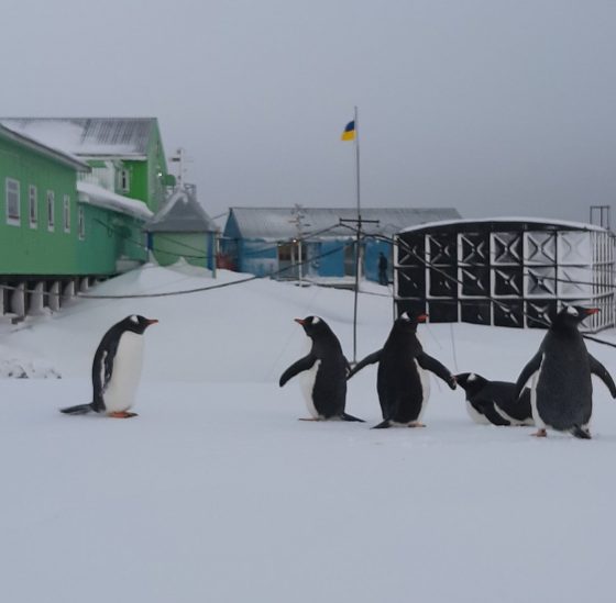 New Ukrainian Antarctic Expedition
