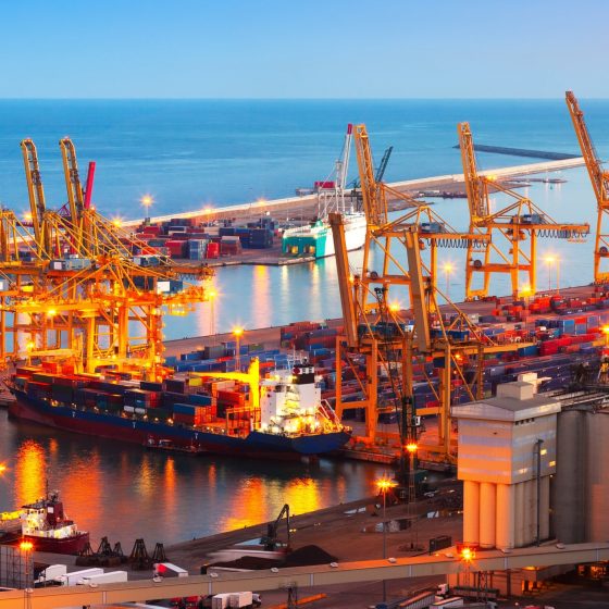 Record Export Figures