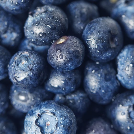 Fruit and Berry Production in Ukraine