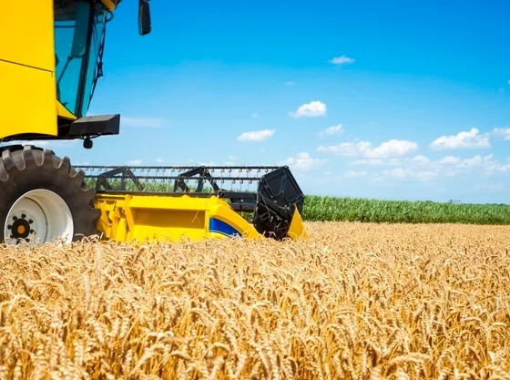 Agriculture in Ukraine
