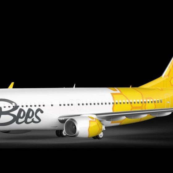 New Airline in Ukraine