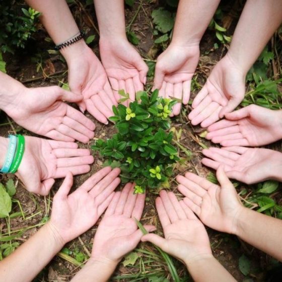 Steps Taken by Ukrainian Volunteers in Waste Management