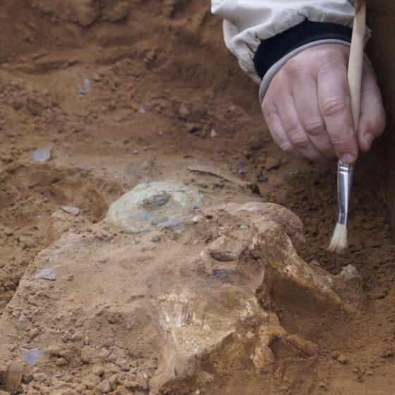 The Roman Empire Artefacts Were Found in Western Ukraine 