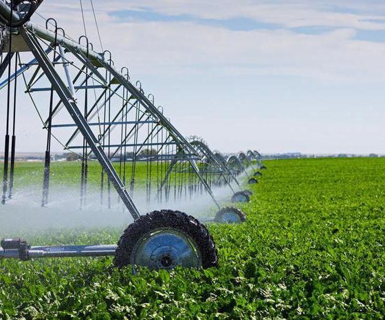 State Support of the Agricultural Industry