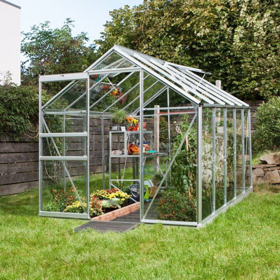 Main Business Plan Items for Opening Greenhouse in Ukraine